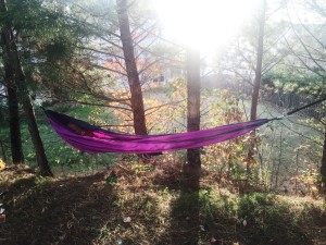 Snuggling in a hammock enjoying nature = my everyday wish!