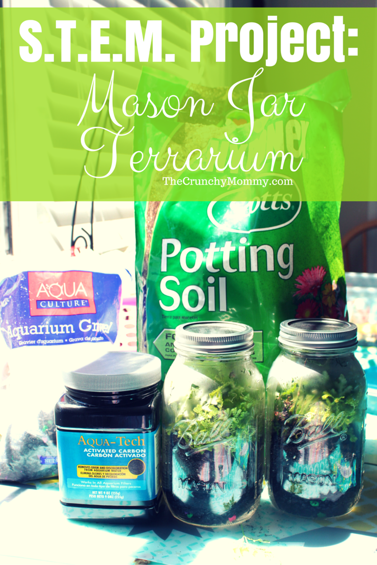 Want a fun way to teach your little about the water cycle? Check out this fun STEM project using Mason Jars to create terrariums. 