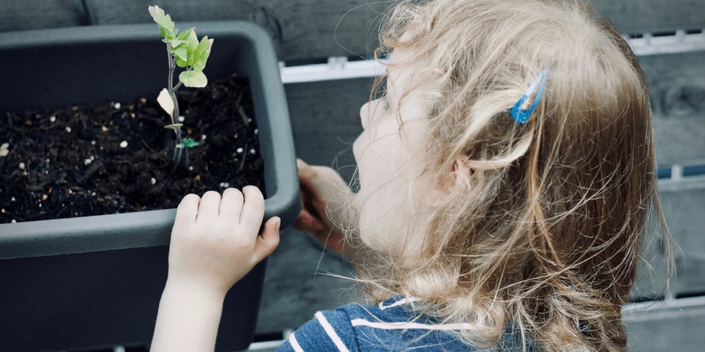Easy Ways To Start A Garden With Kids