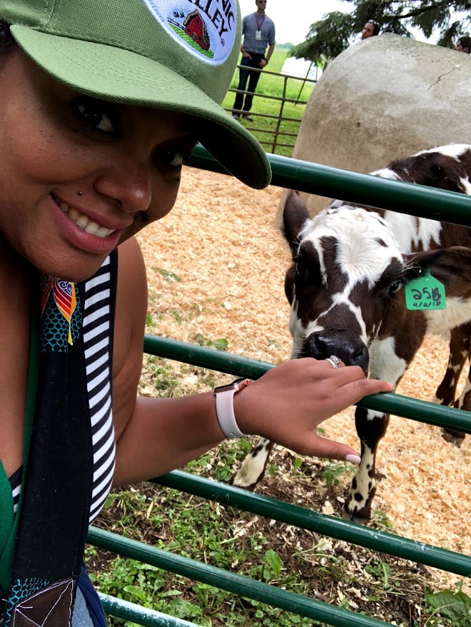 I always felt like I was a dairy cow when I would pump. After visiting an Organic Valley farm, I saw just how much nursing moms and dairy cows were alike.
