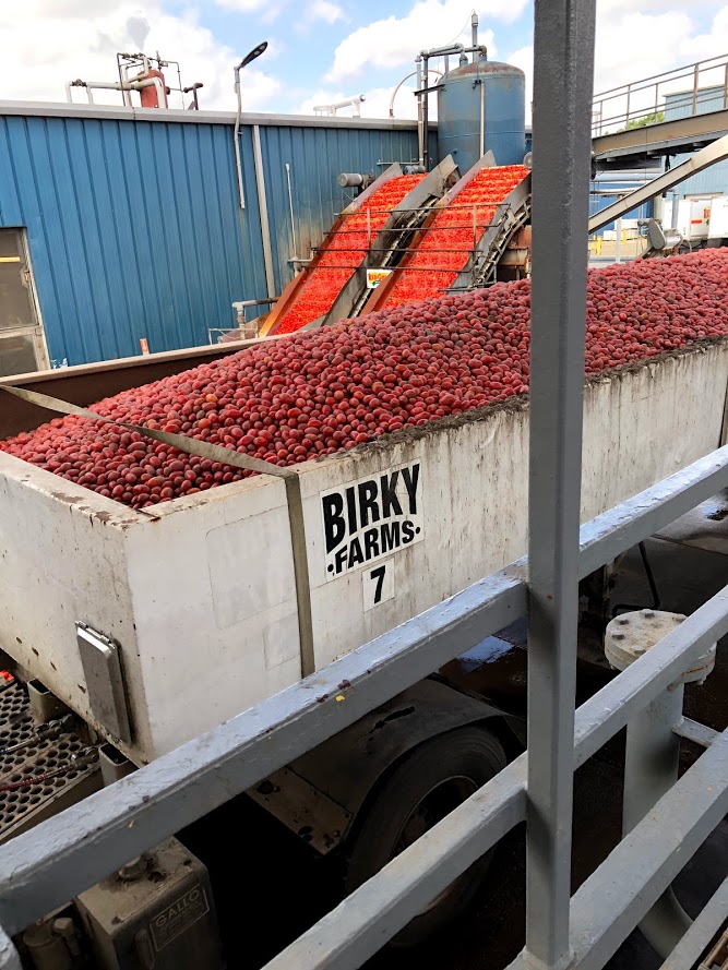 I had the opportunity to tour a canning facility and it shed a lot of light on some questions that have come up regarding how healthy canned food is!