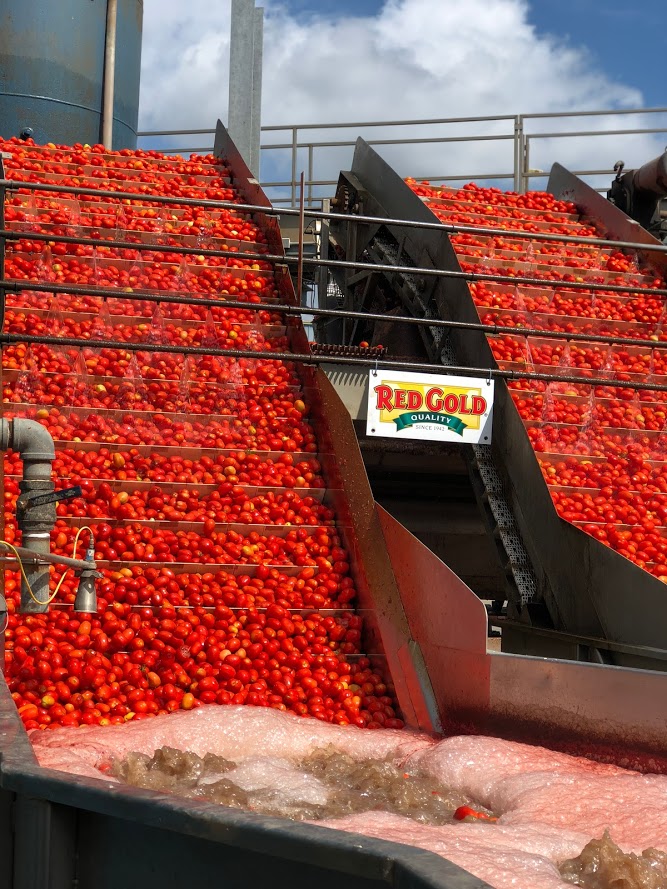 I had the opportunity to tour a canning facility and it shed a lot of light on some questions that have come up regarding how healthy canned food is!