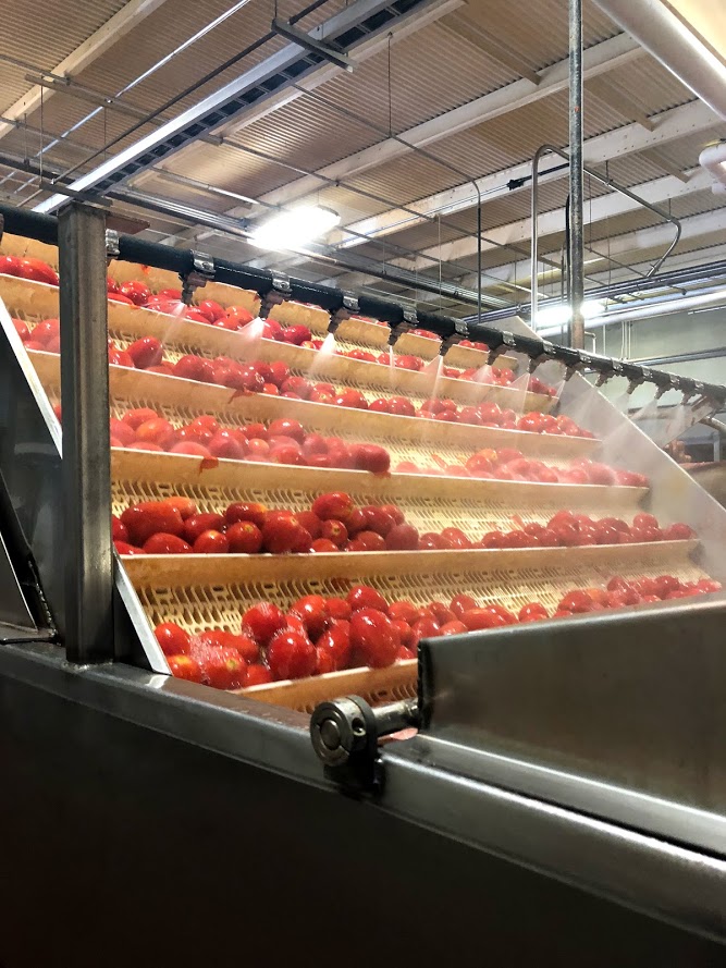 I had the opportunity to tour a canning facility and it shed a lot of light on some questions that have come up regarding how healthy canned food is!