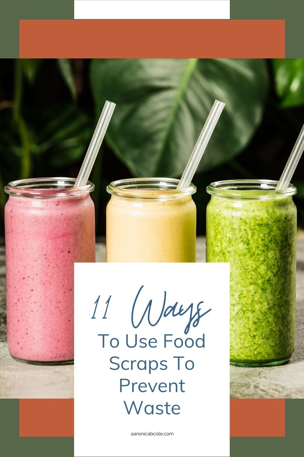 11 Creative Ways to Use Food Scraps To Prevent Waste - Aaronica B. Cole